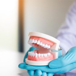 dentist holding dentures in hand 